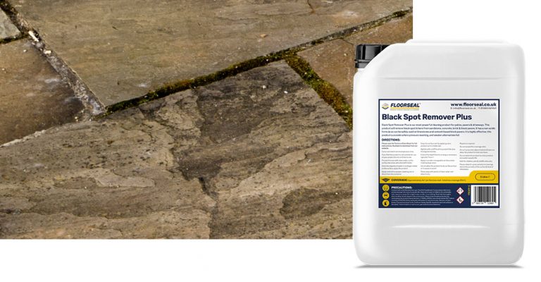 How to remove black spot from sandstone patios and pavers | Floorseal